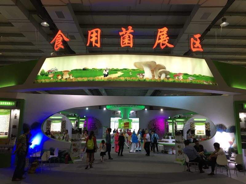 中国·永利(88858cc·VIP认证)官网 - GREEN LIFE