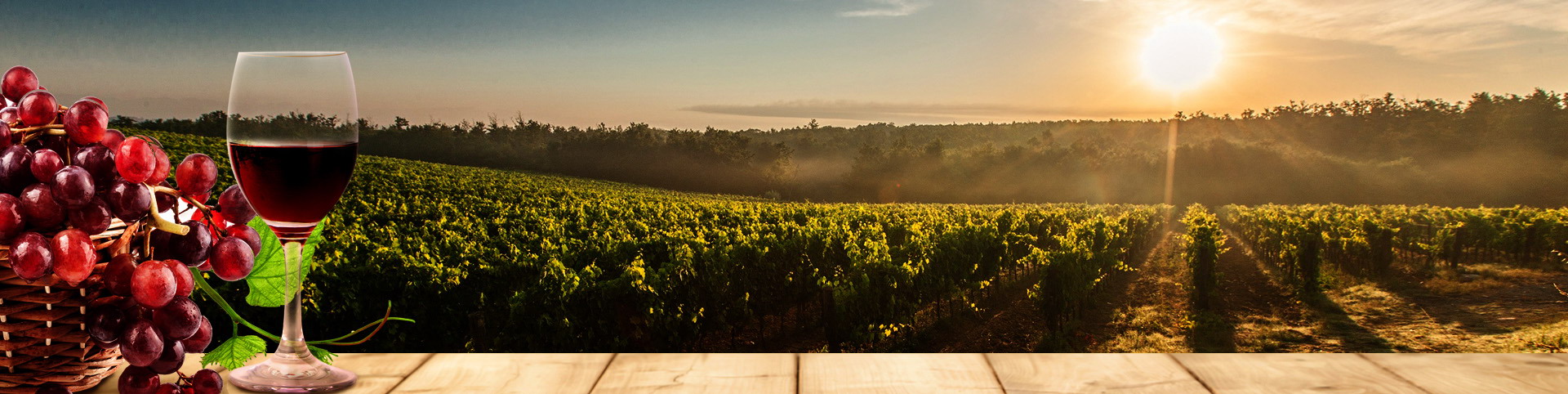 中国·永利(88858cc·VIP认证)官网 - GREEN LIFE