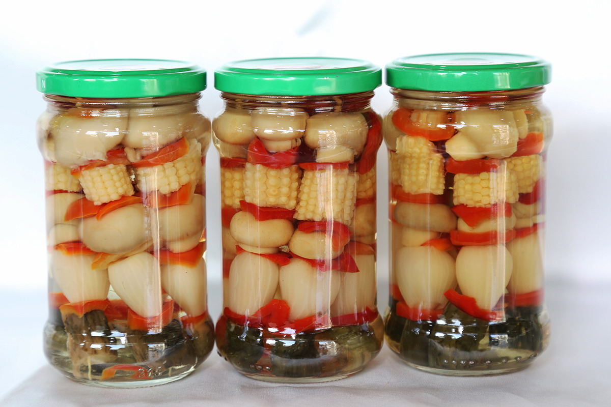 中国·永利(88858cc·VIP认证)官网 - GREEN LIFE