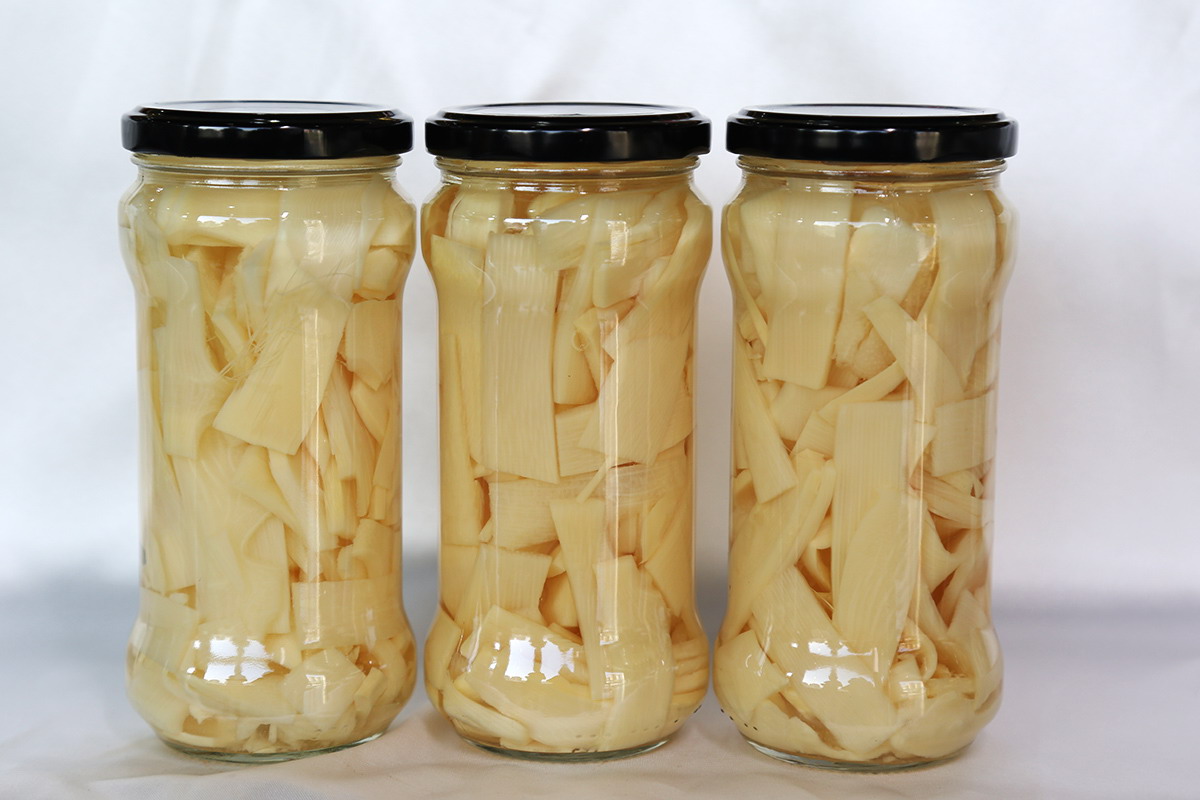 中国·永利(88858cc·VIP认证)官网 - GREEN LIFE